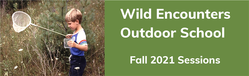 Wild Encounters Fall Outdoor School Banner